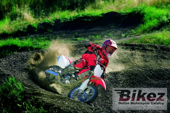 2008 honda crf 150 r photo